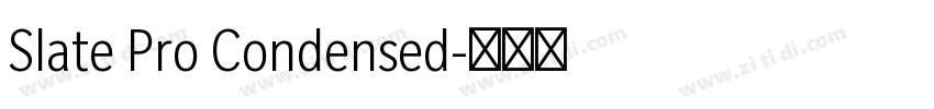 Slate Pro Condensed字体转换
